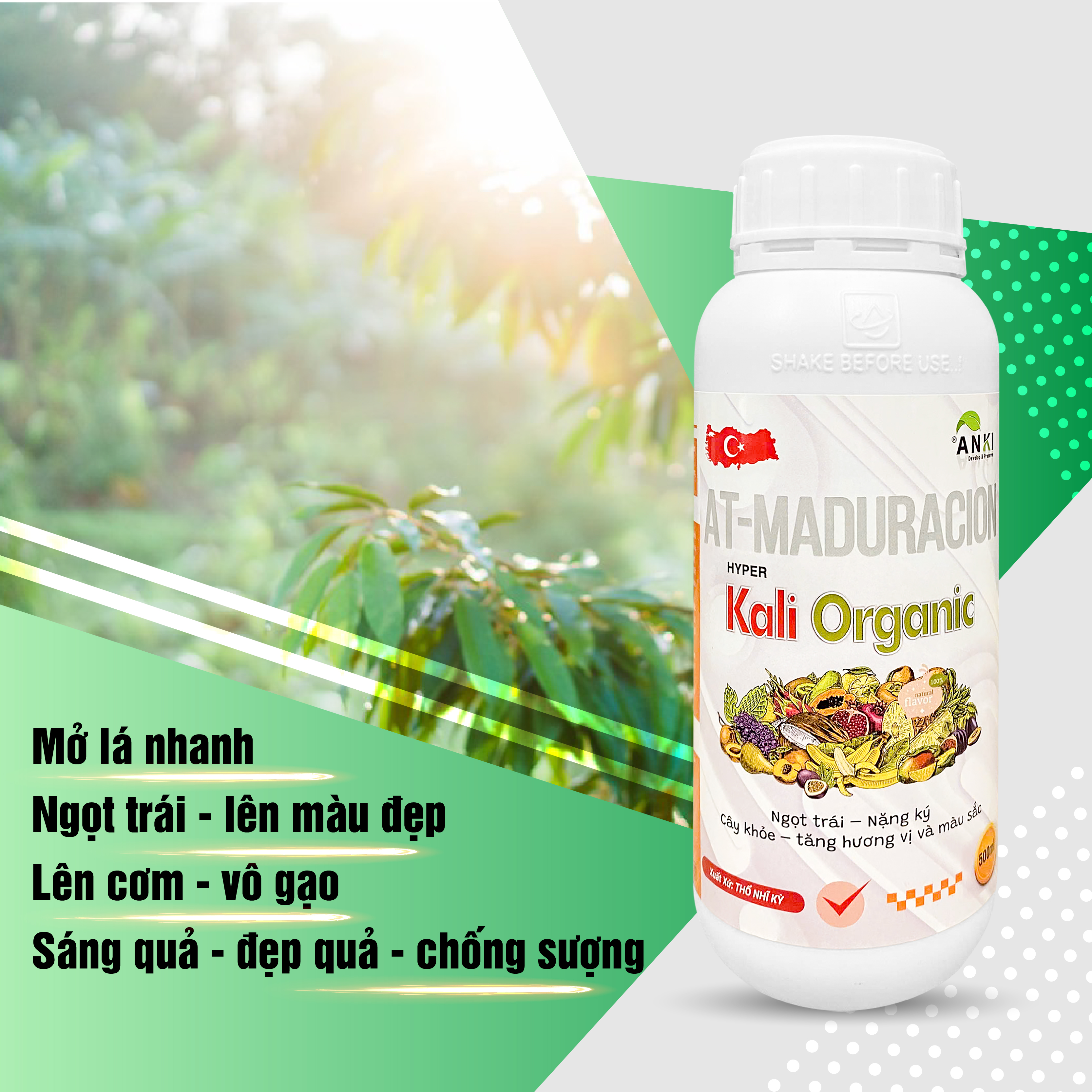 BỘ LÊN CƠM,VÔ GẠO,CHỐNG SƯỢNG TRÁI