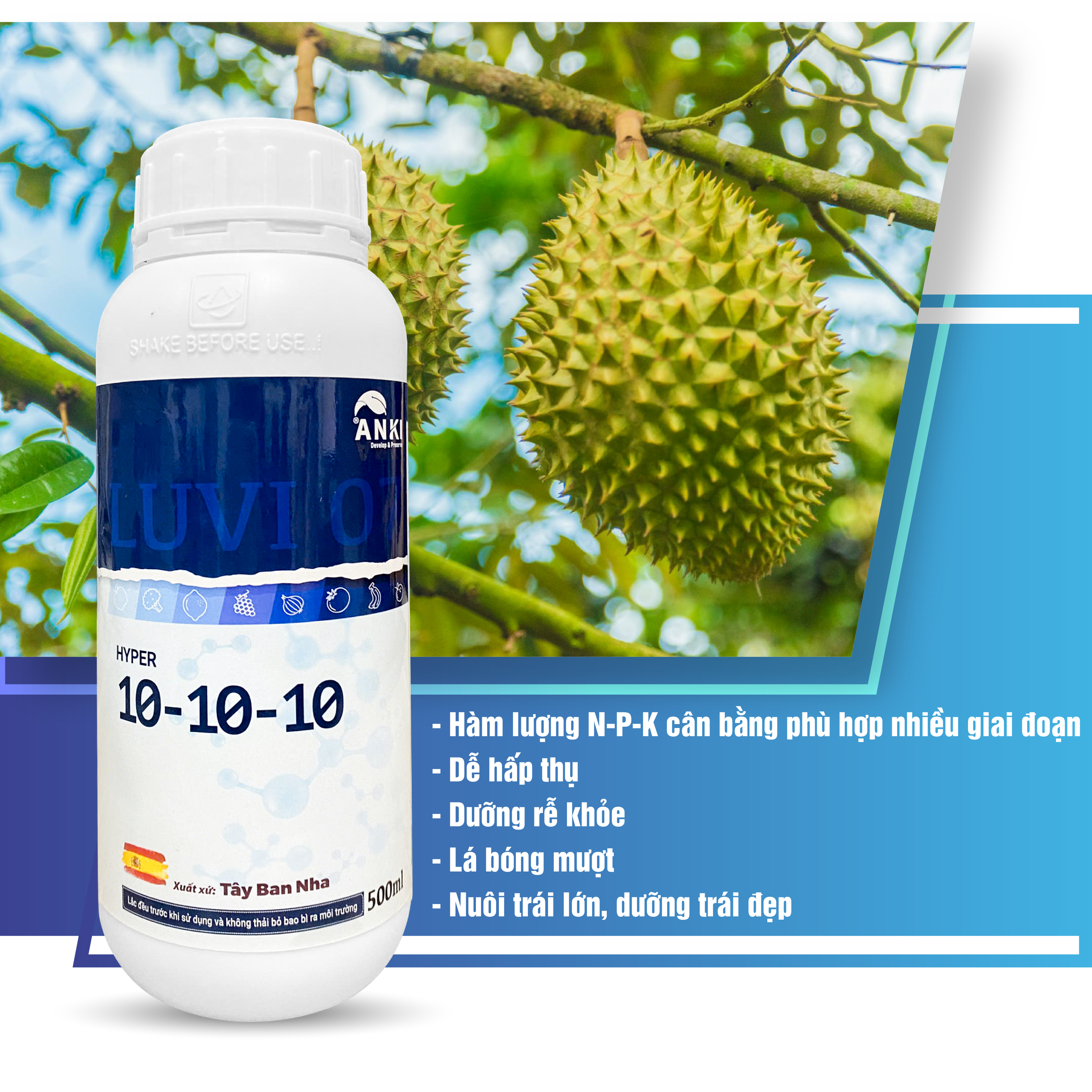 BỘ CHẠY TRÁI, NÂNG HỘC, TRÁI PHÁT TRIỂN ĐỒNG ĐỀU