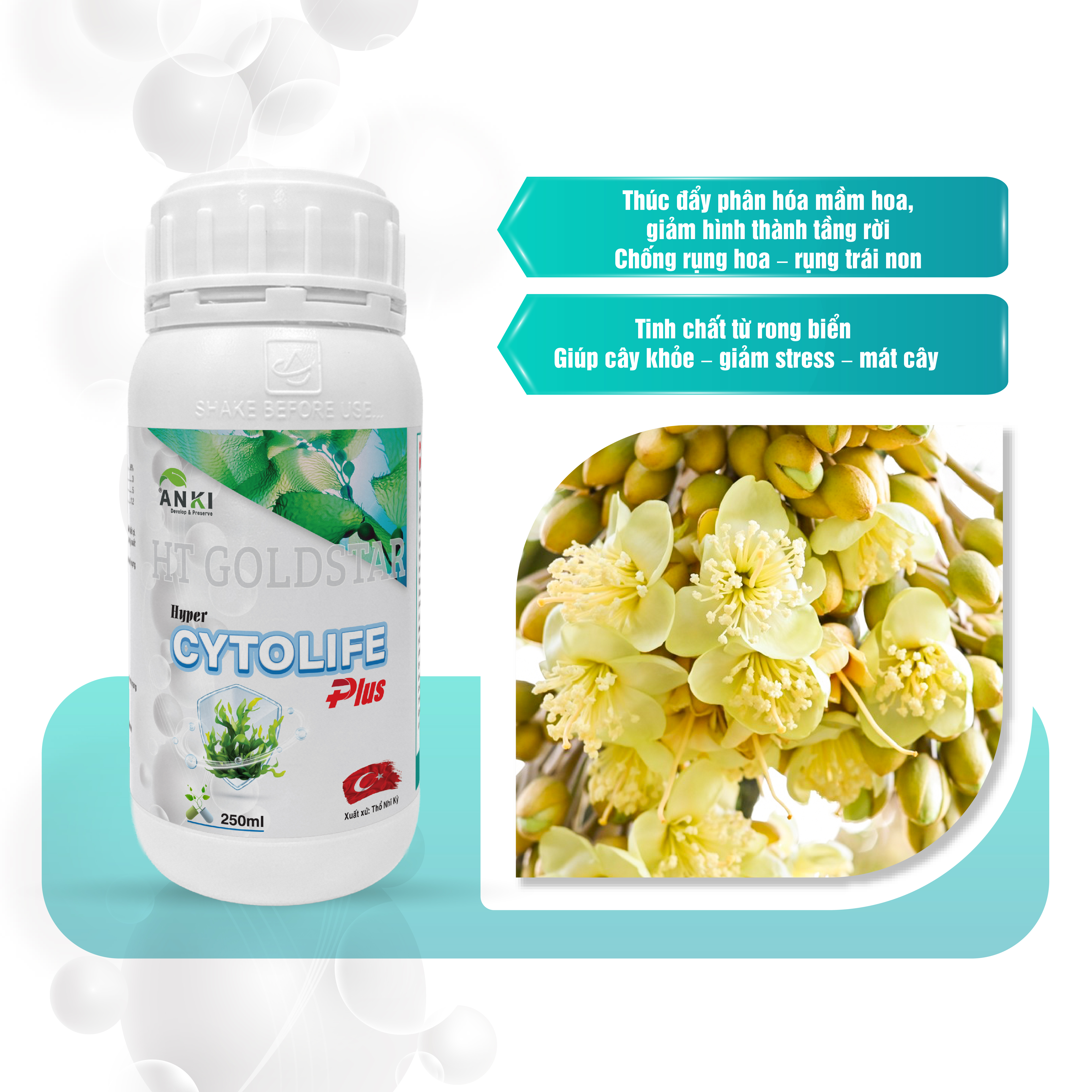 BỘ CHỐNG RỤNG HOA TRÁI CẤP TỐC, SỬA TRÁI, CHỐNG MÉO TRÁI