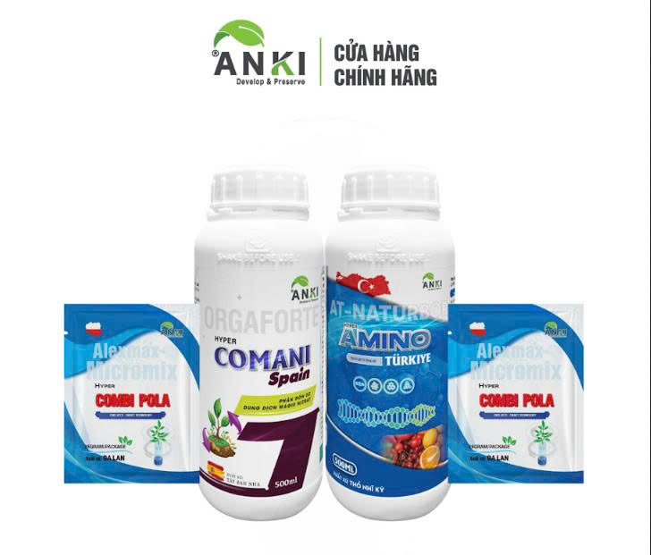 Bộ siêu kéo đọt, bật chồi nhanh