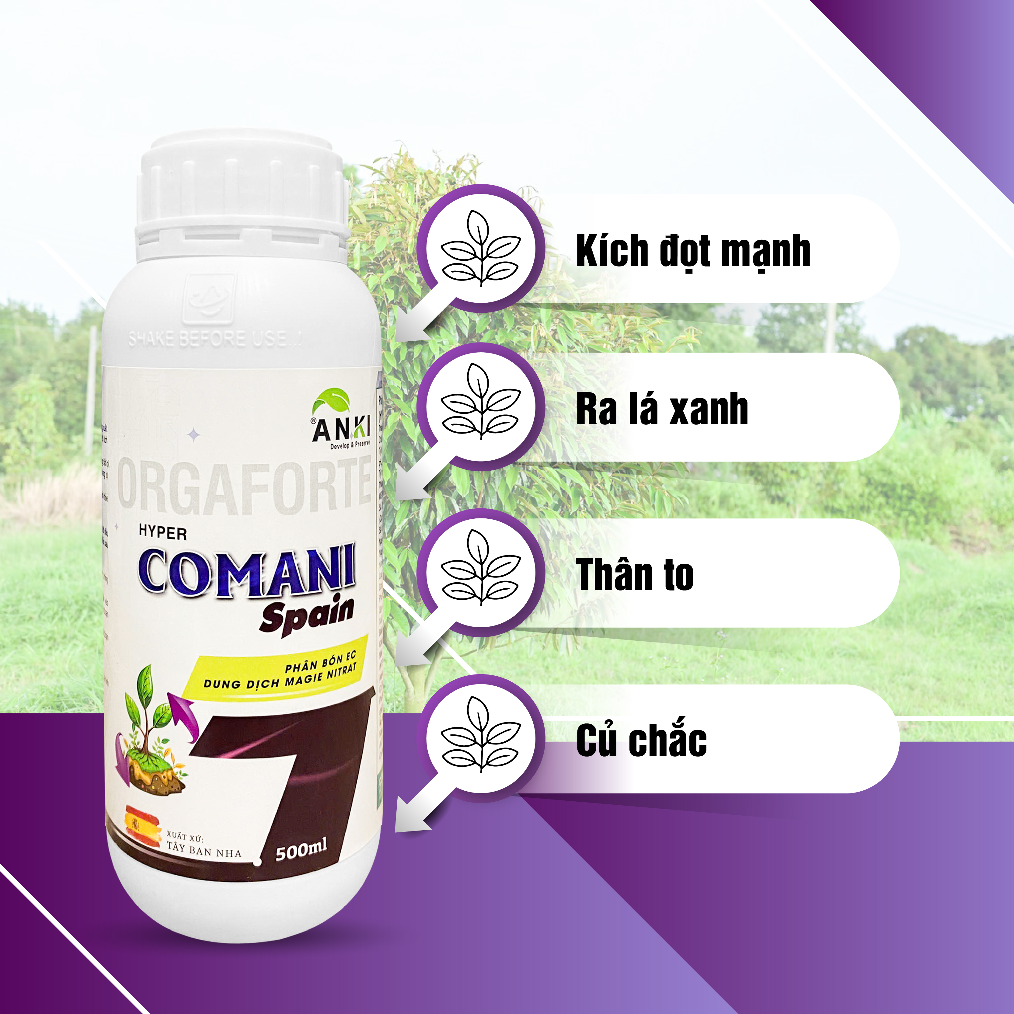 HYPER COMANI TÂY BAN NHA