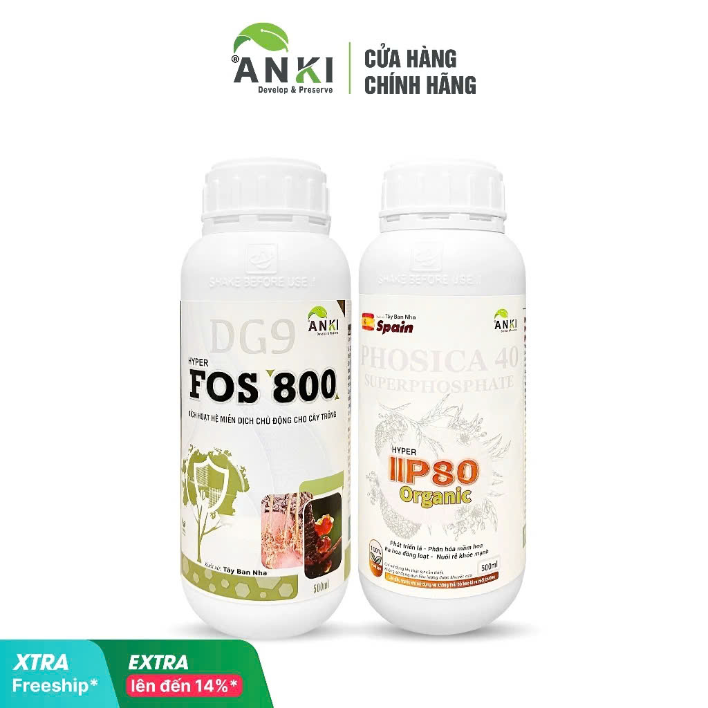 Bộ kích cây ra hoa đồng loạt, phân hóa mầm hoa nhanh