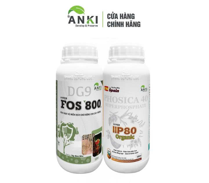 Bộ kích cây ra hoa đồng loạt, phân hóa mầm hoa nhanh